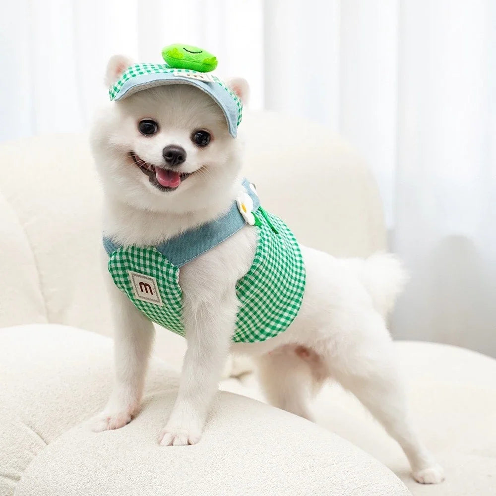 Dog Harness and Leash Set with Hat for Small Dogs & Cats