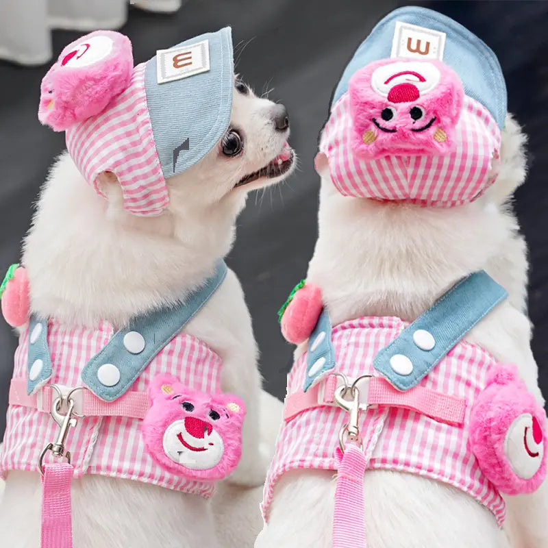 Dog Harness and Leash Set with Hat for Small Dogs & Cats