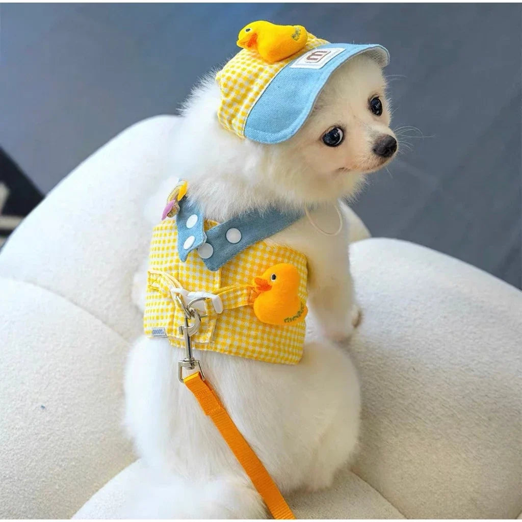 Dog Harness and Leash Set with Hat for Small Dogs & Cats