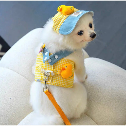 Dog Harness and Leash Set with Hat for Small Dogs & Cats